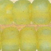 Mill Hill Size 6 Bead 6 Grams - 16615 frosted citrus