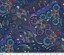 M&S Textiles Australia - Bush Tucker After Rain NT Blue