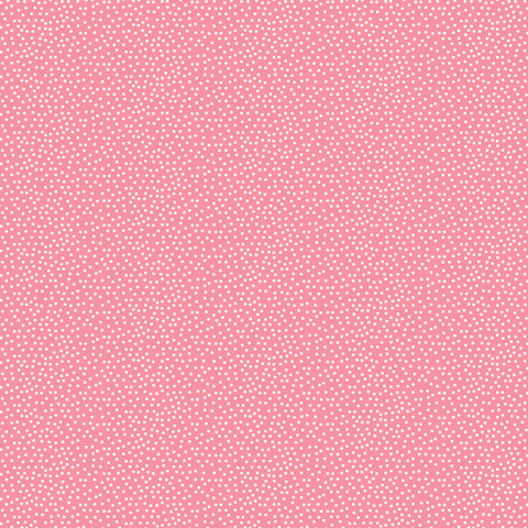 CONFETTI-LOLLY